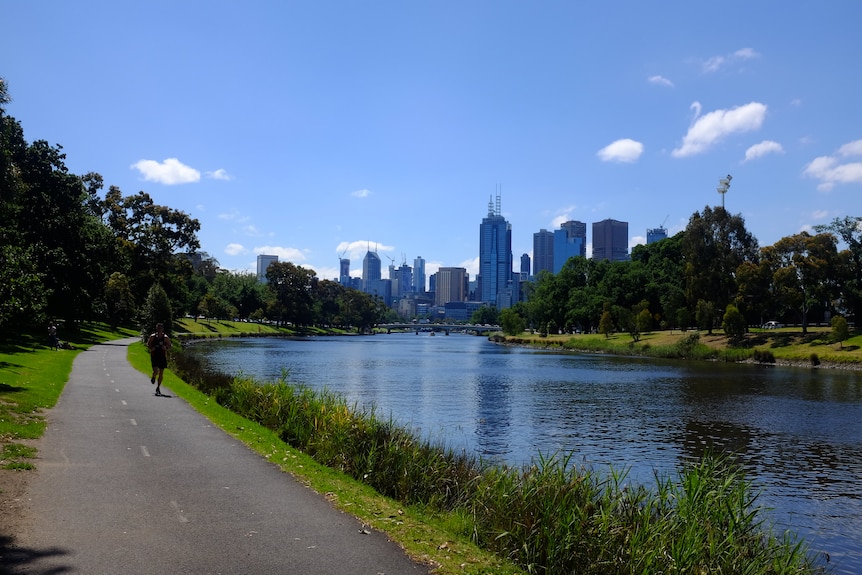 The South Yarra portion of the Main Yarra Trail on a sunny day, with the city in the background.