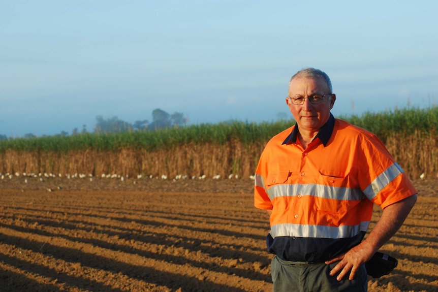 Cane farmer Joe Marano from Innisfail