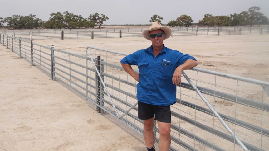 Paul Martin, general manager of Livestock, leaning on the fence of the feedlot in a blue shirt.