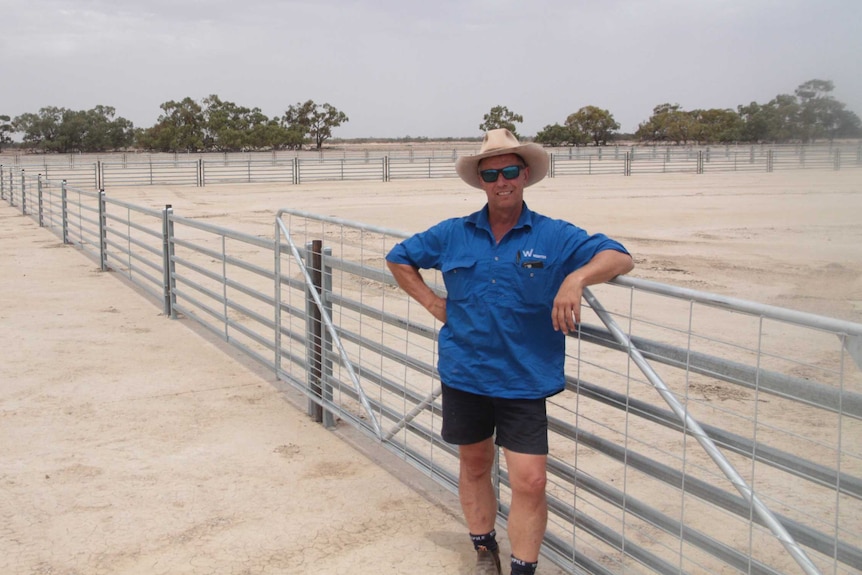 Paul Martin, general manager of livestock, leaning on the fence of the feedlot in a blue shirt.