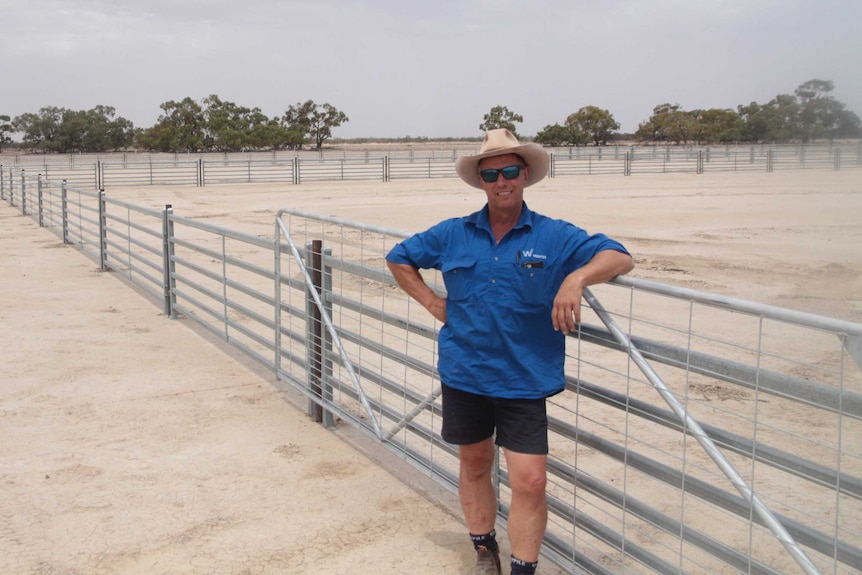 Paul Martin, general manager of Livestock, leaning on the fence of the feedlot in a blue shirt.