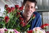 Flower farmer Francis Hagens