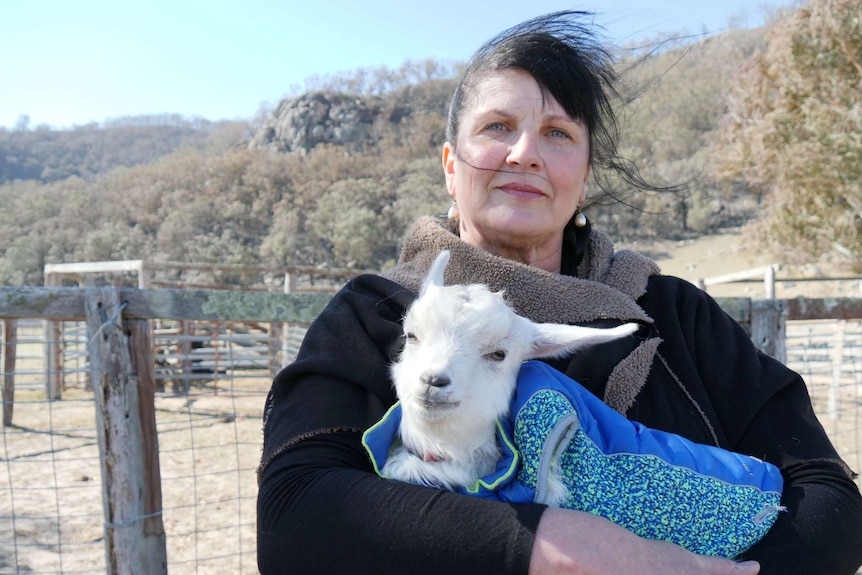A woman holds a young goat wearing a jacket in a farm paddock with wind blowing her brown hair.