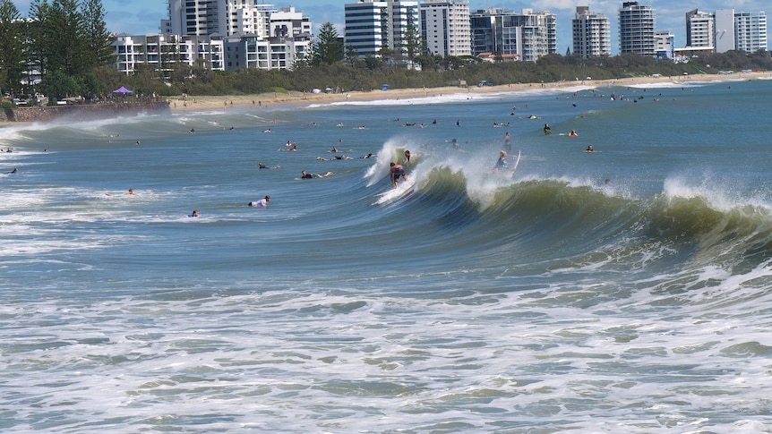 A long line of surfers at Alexandra Headlands