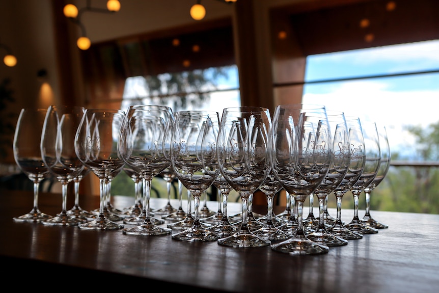 wine glasses on a table