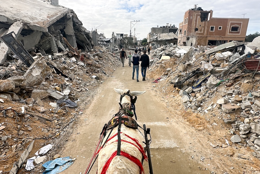 A donkey walks through a dirt street covered in rubble