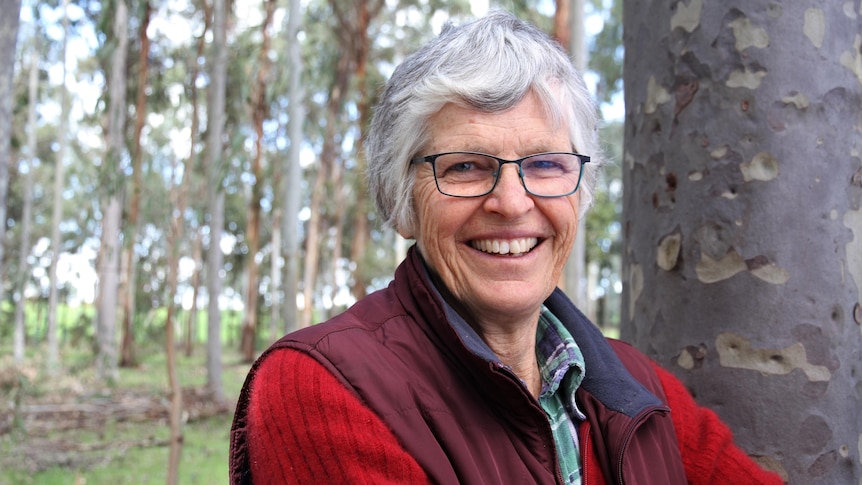 A woman stands amongst trees 