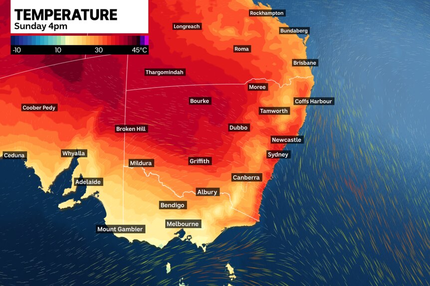 A map of Australia's south-east coast showing places like Sydney and Newcastle will be hot at 4pm on Sunday