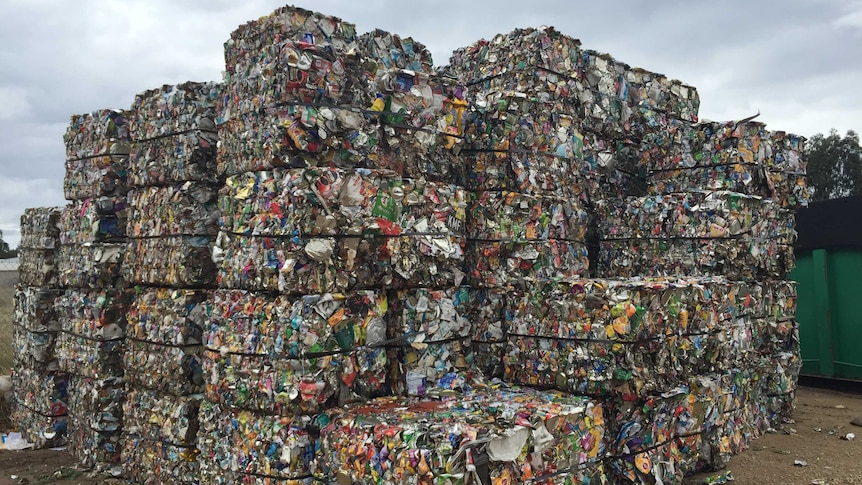 Mountains of recyclables going to waste