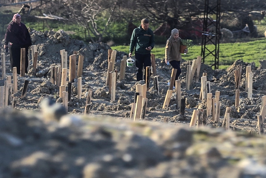 People walk between graves with wooden crosses on them. 