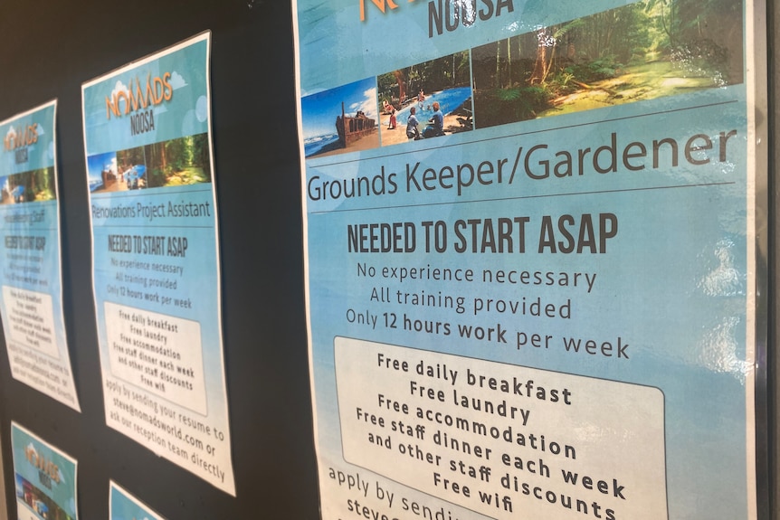 Help wanted signs in backpackers