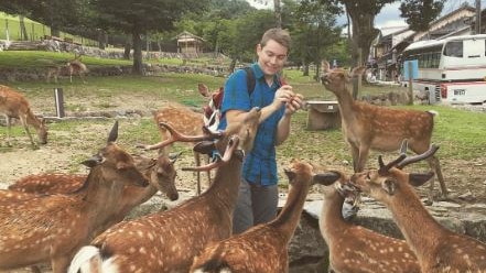 Deer tourists: Deer park post by random guy