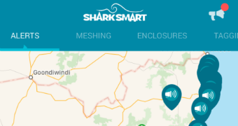 Are shark apps useful teaser