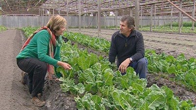 Growing for the Mission - Gardening Australia