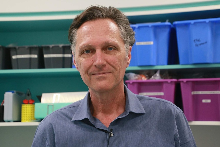 A close up of Jonathan Carapetis in a hospital, wearing a blue button-up shirt.