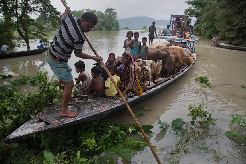 You see a children, adults and cattle on a long, kayak-style long boat as floodwaters inundate a village to the treetops.
