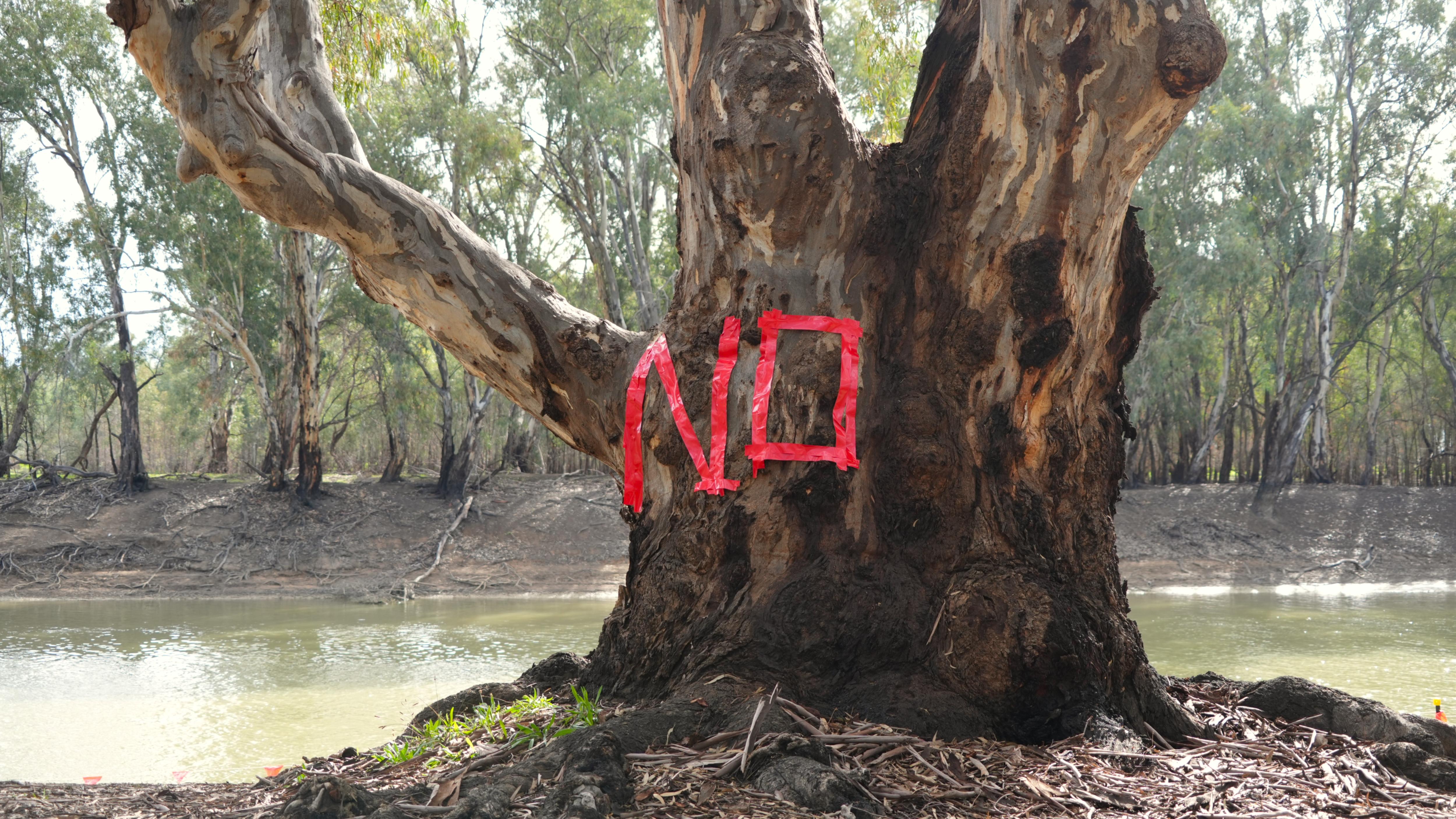 Traditional owner takes government to court over flood plain project