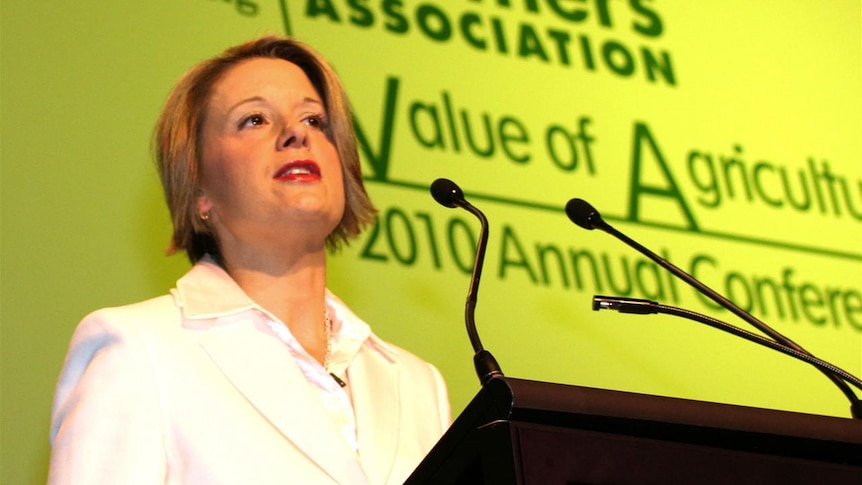 NSW Premier Kristina Keneally