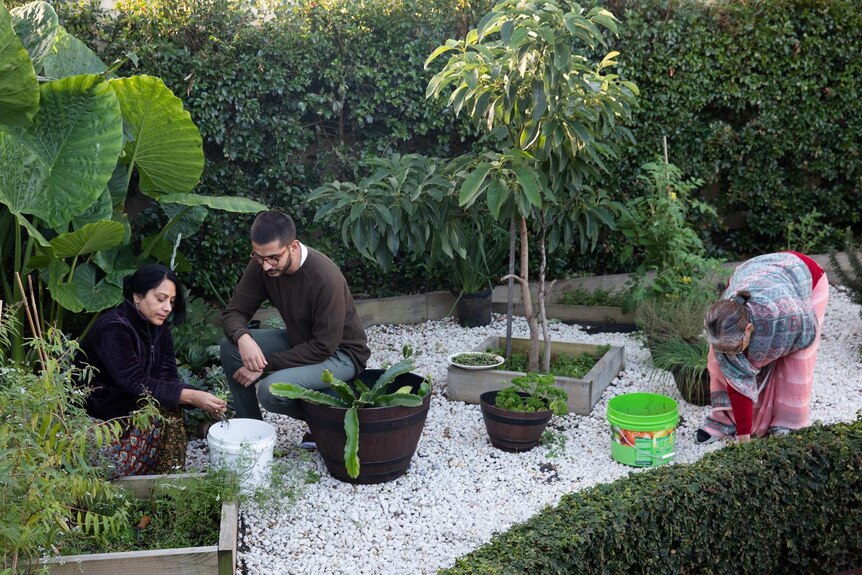 Sidd and family in the garden for feature on young Australians' life during and after coronavirus isolation