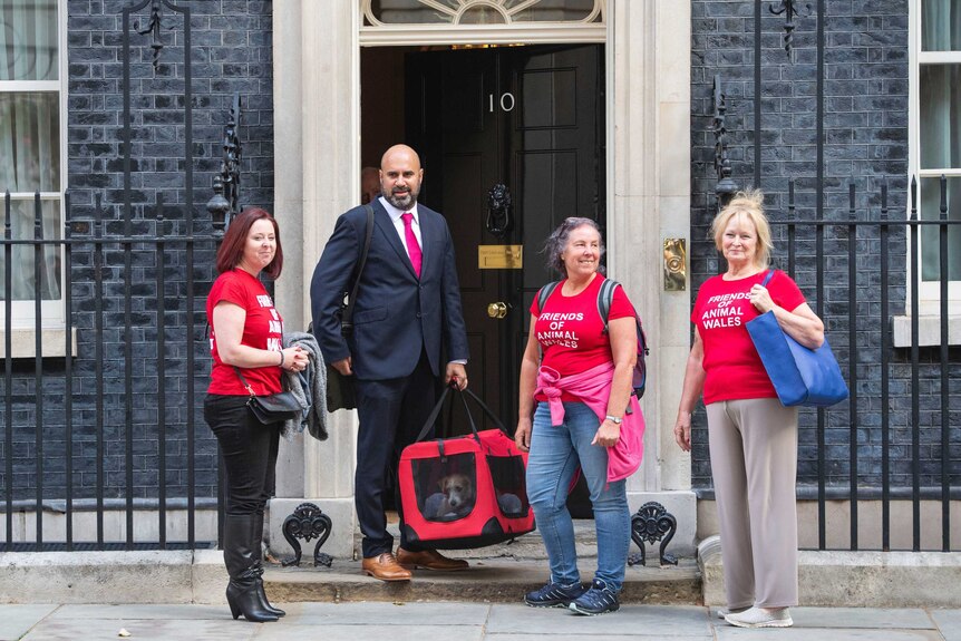 Three women wearing t-shirts labelled Friends of Animal Wales and a man stand in front of Number 10 Downing Street in London.