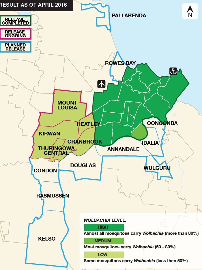 A map of Townsville suburbs that have been part of the Eliminate Dengue trial