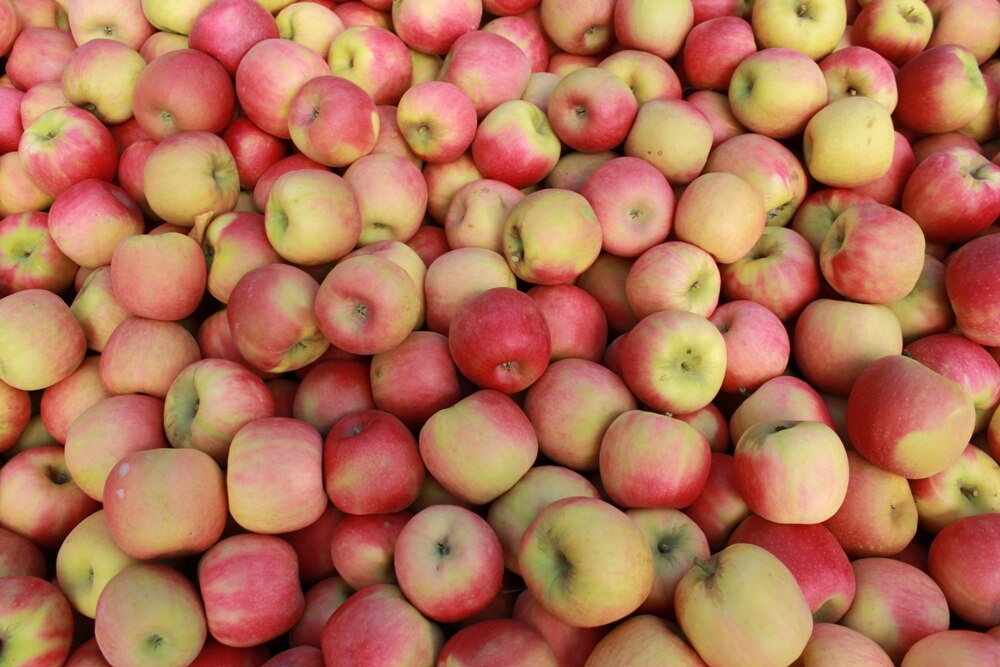 Too many apples. Too many apples. Apple fruit. Too many apples. Много яблок.