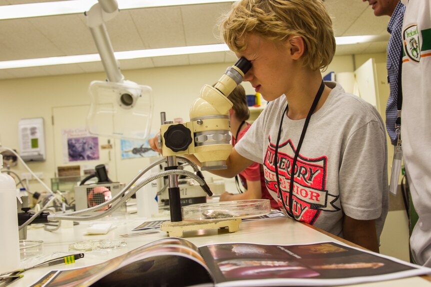 Student Eetu Ahonen enjoyed using the microscopes to discover parasites inside fish.