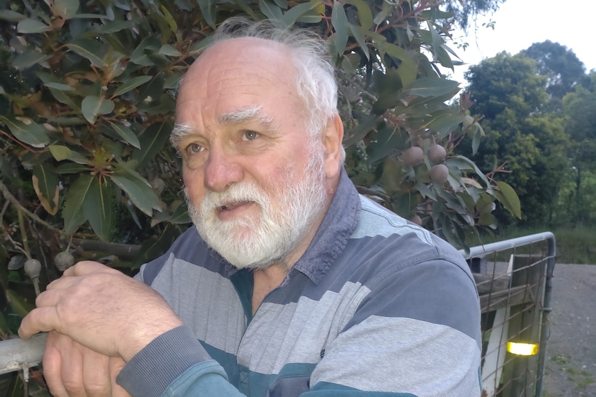 Older mam with white hair and beard wearing a blue striped shift leaning on a fence