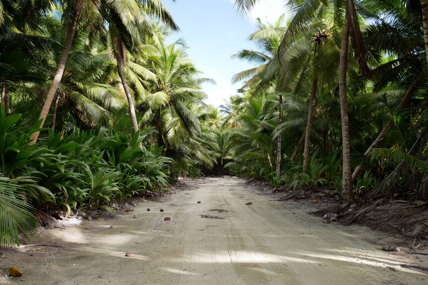 A cocos palm lined sandy road on West Island in the Coco Keeling Islands. 