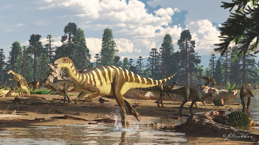 Artist's impression of Galleonosaurus dorisae dinosaur