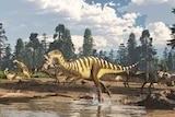 Artist's impression of Galleonosaurus dorisae dinosaur
