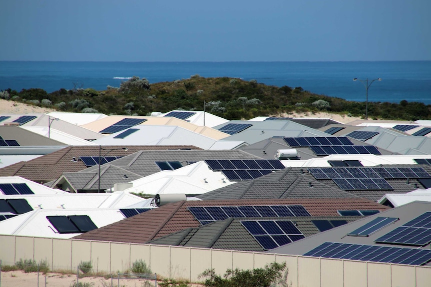 A cluster of houses at Alkimos Beach all with rooftop solar panels.