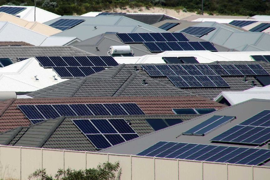 A cluster of houses at Alkimos Beach all with rooftop solar panels.