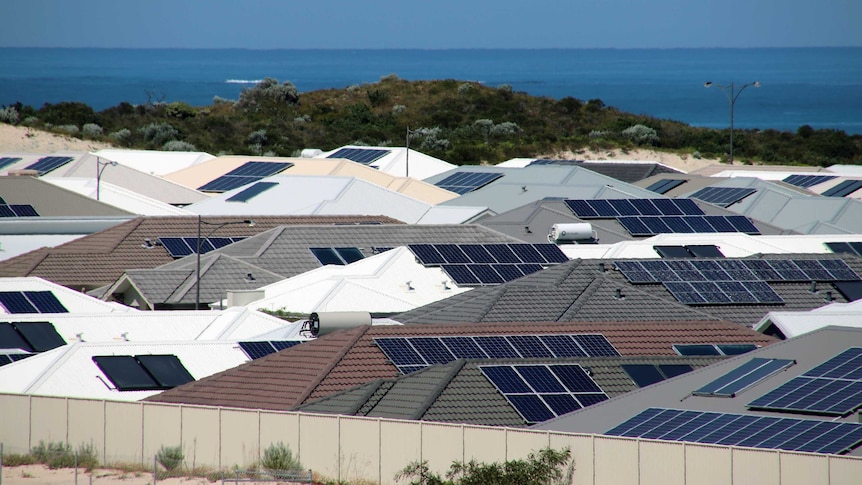A cluster of houses at Alkimos Beach all with rooftop solar panels.