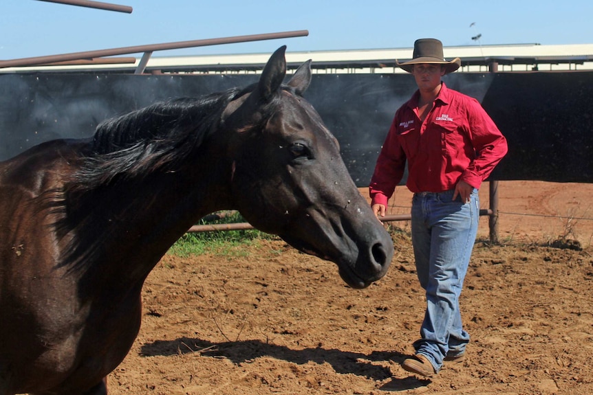 the head of a horse with a man in a red shirt and hat in a set of yards