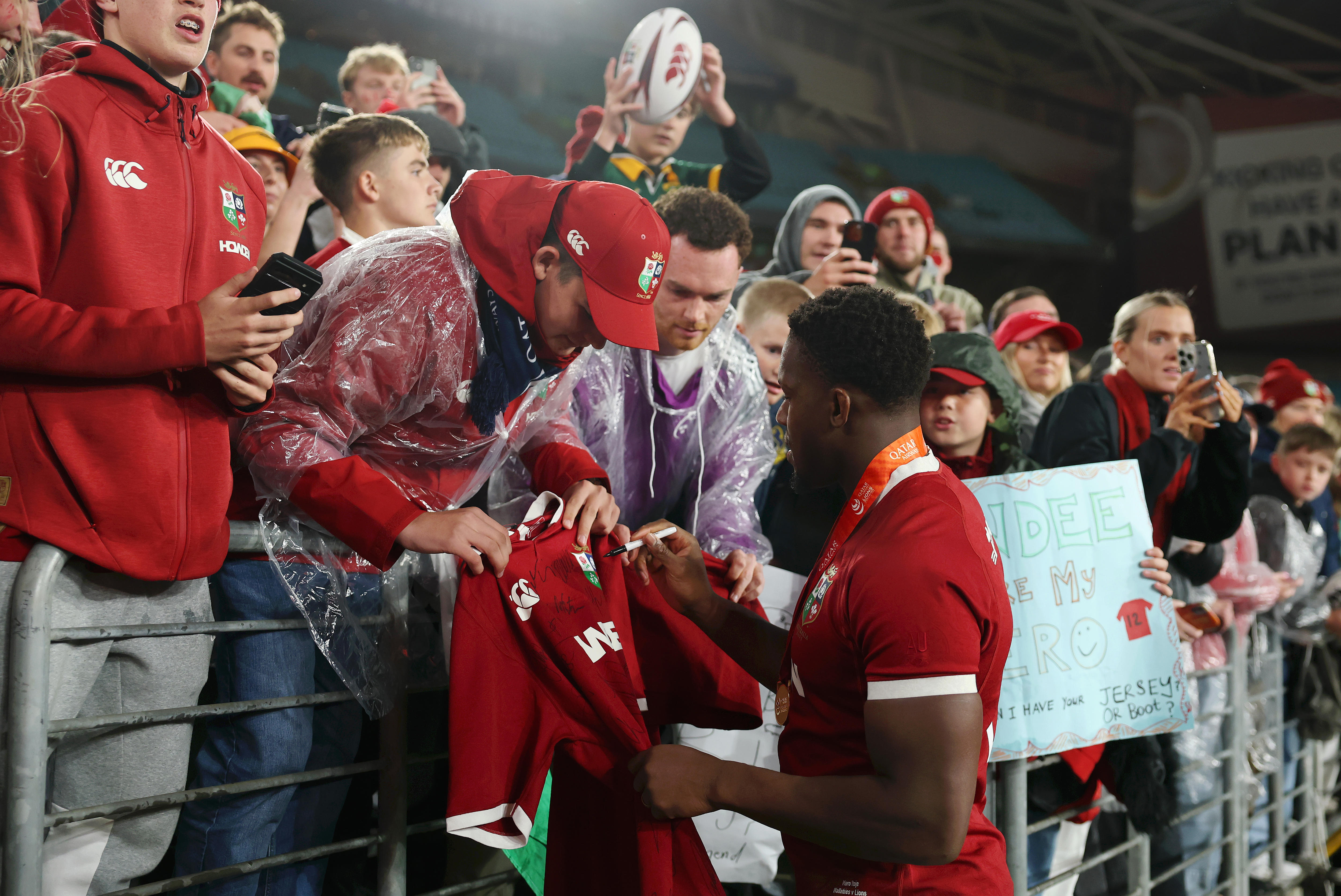 Fanáticos de los leones angloirlandeses