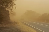 Dusty and windy conditions on the road to Tarlee.