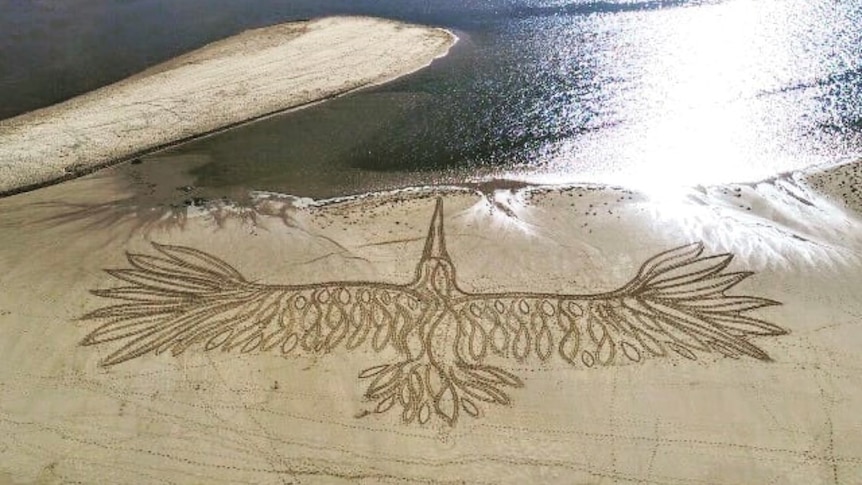 large scale sand drawing of a bird on the beach at Lake Tyers 
