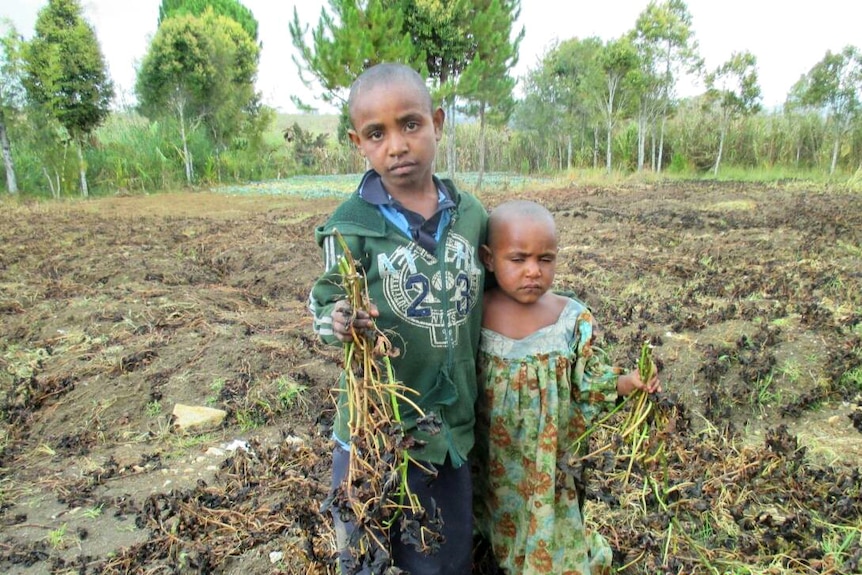 Children at Algi village with frost destroyed crops