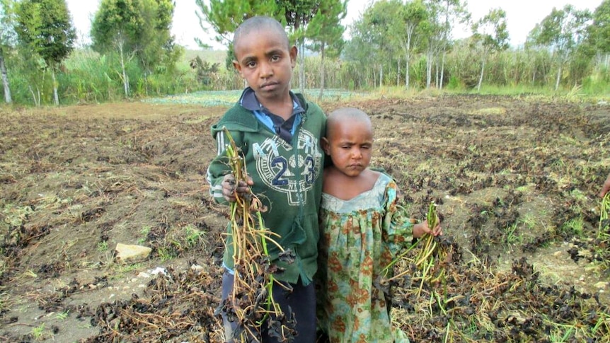 Children at Algi village with frost destroyed crops