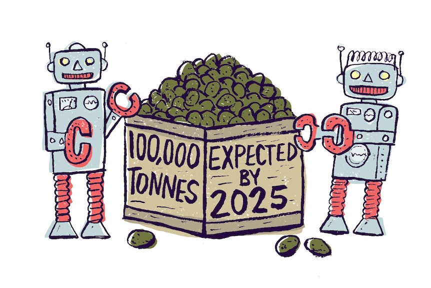 Two smiling robots stand next to a box of avocados with the label saying: 100,000 tonnes expected by 2025.