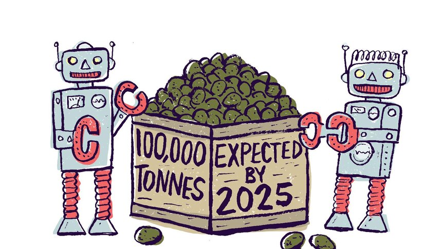 Two smiling robots stand next to a box of avocados with the label saying: 100,000 tonnes expected by 2025.