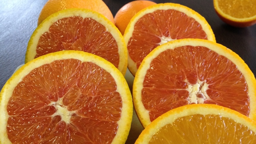 Pink fleshed cara cara oranges