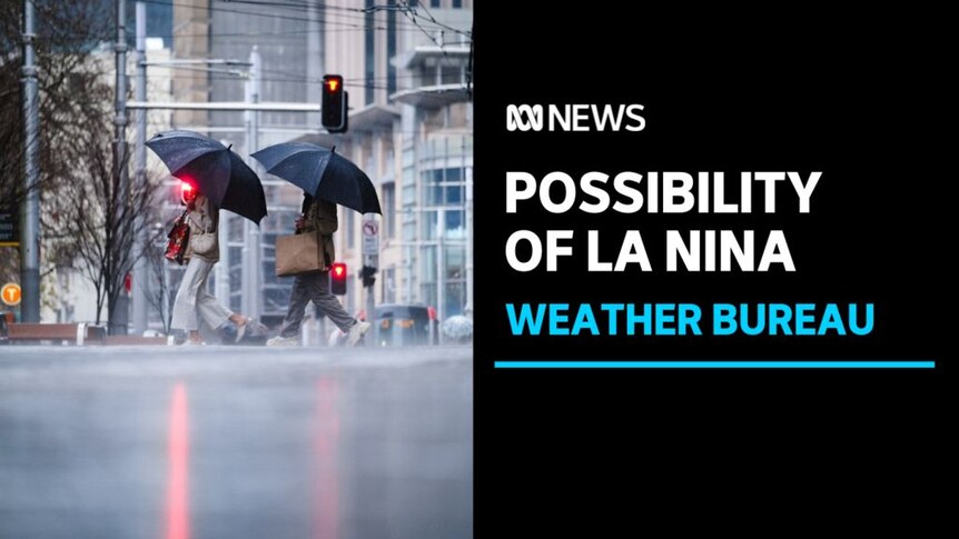 Possibility of La Nina, Weather Burea: Two people cross a rainy street with umbrellas up.