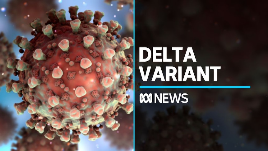 What is the Delta variant of COVID-19? - ABC News