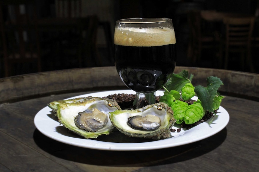 A glass of dark beer sitting on a plate surrounded by oysters.