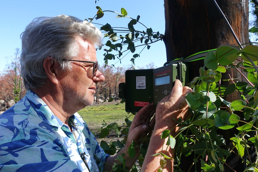 A man looking a a motion sensor