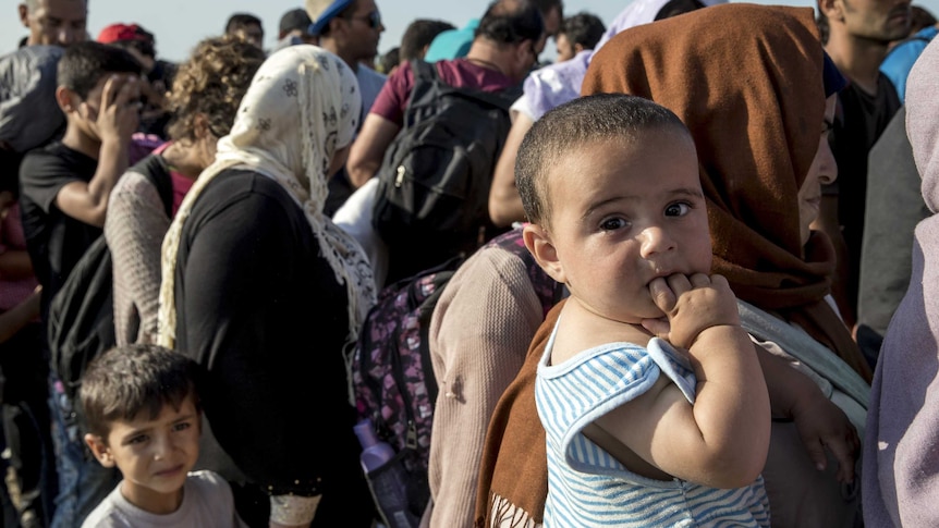 An asylum seeker child is escorted to buses by Hungarian police near the migrant reception centre in Roszke, Hungary