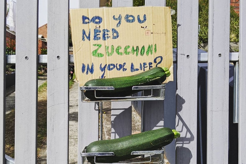 A homemade stand attached to a fence invites neighbours to take a homegrown zucchini, building community through gardening.