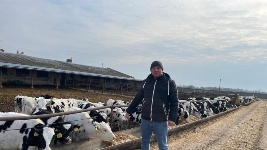 Ukrainian farmer with his calves